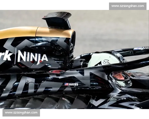 阿布扎比燃爆银幕!F1:狂飙飞车地区首映群星云集 阿布扎比燃爆银幕!F1:狂飙飞车地区首映群星云集