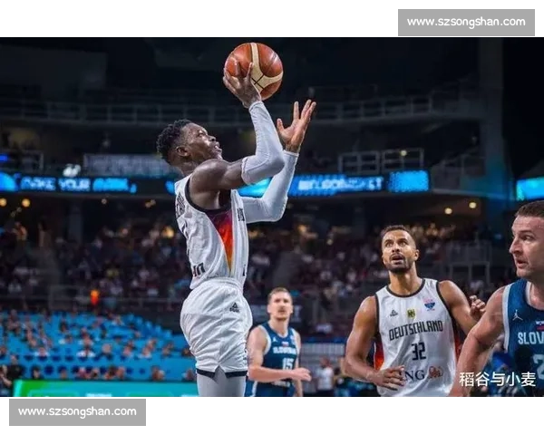 国王两年 3000 万签施罗德 后场双核剑指季后赛