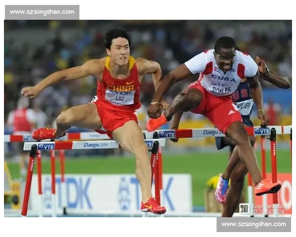 赛事 “燃城”：一场双向奔赴的活力共振