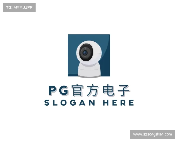 解读PG官方电子